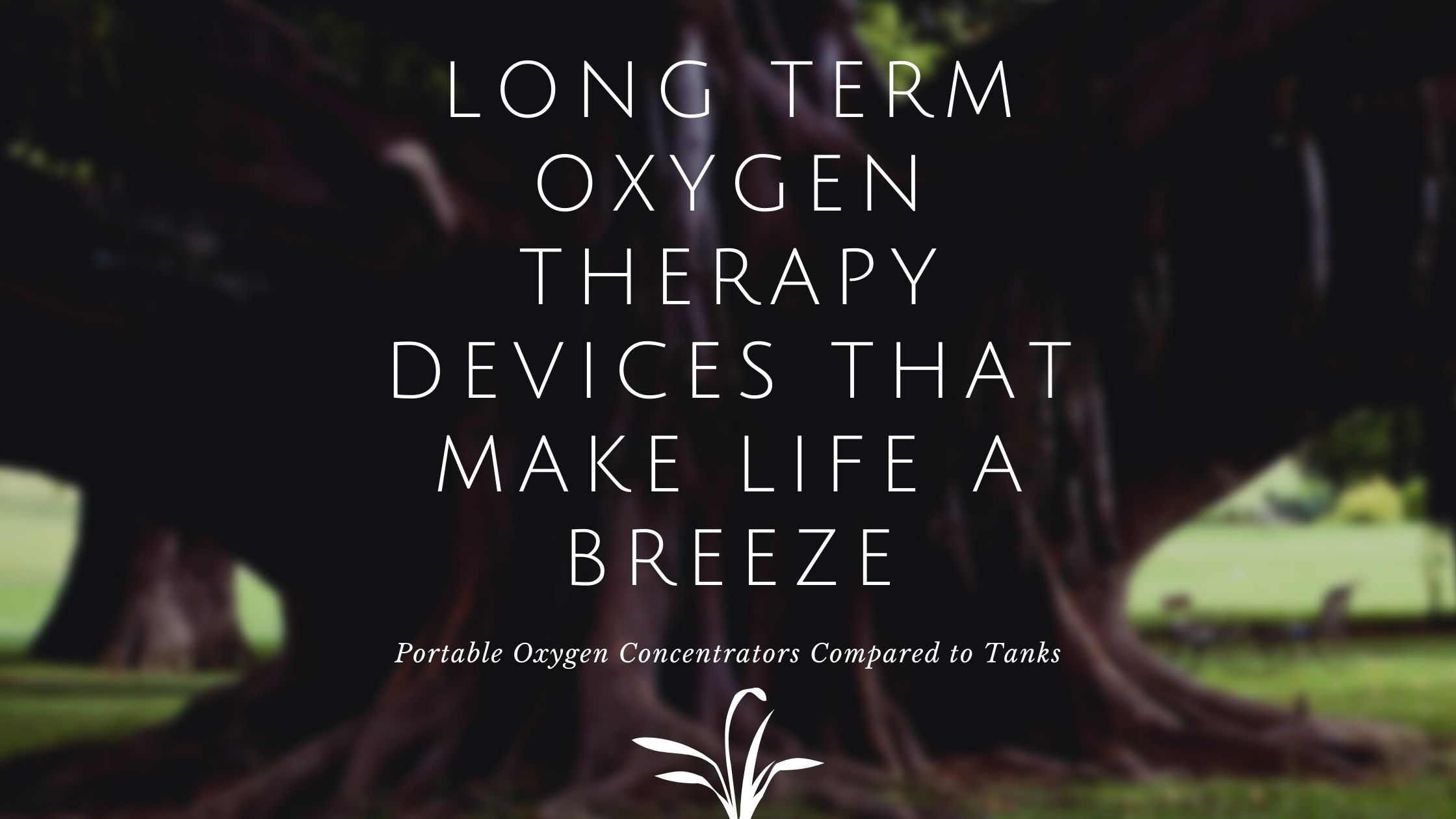 Long Term Oxygen Therapy Devices That Make Life A Breeze-jpg