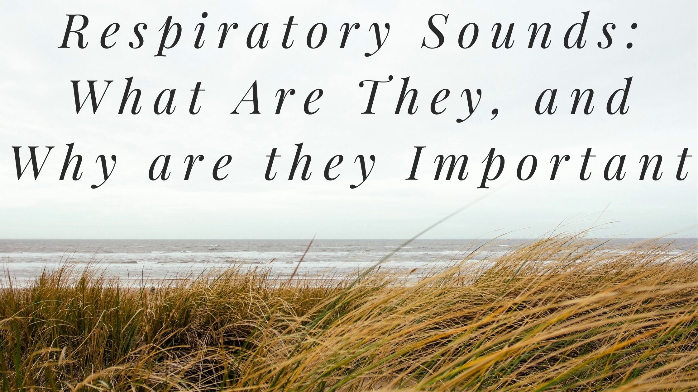 Respiratory Sounds What Are They and Why is it Important