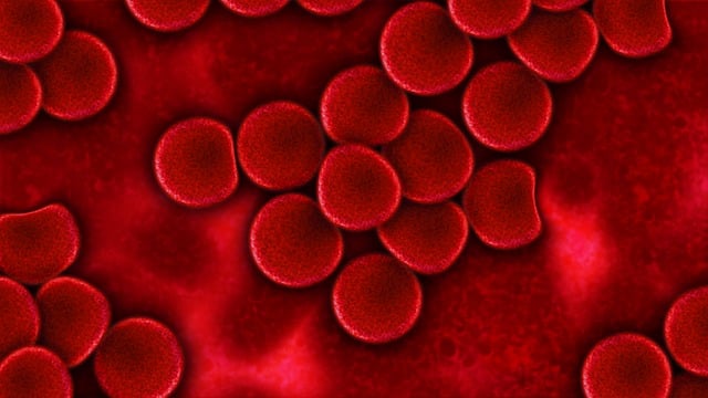 www.maxpixel.net-Blood-Plasma-Red-Blood-Cells-Blood-Infection-Plasma-75302