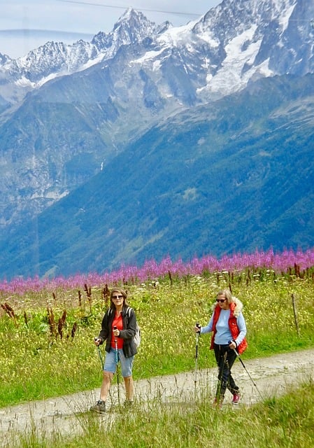 www.maxpixel.net-Nature-Outdoors-Alps-Hikers-Hiking-Hike-Mountain-3367453-1